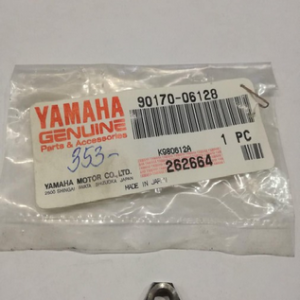 Anya Yamaha